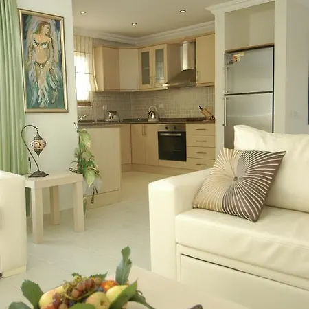Orka Mountain View Villas 度假居 费特希耶
